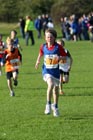 Orange 7, Sherman Cup, South Shields